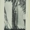 Swanage and South Dorset Illustrated Guide Book - Image 3