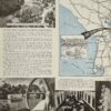 Silver Springs: Natures Underwater Fairyland (Circa 1950s) - Image 3