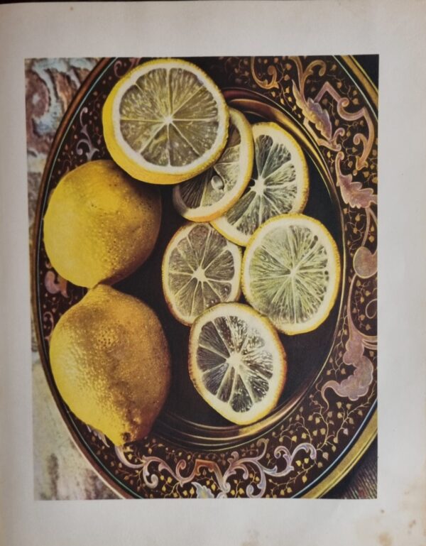 Book About Healthy and Tasty Food (Russian) - Image 13