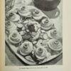 Encyclopedia of European Cooking - Image 9