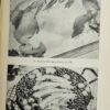 Encyclopedia of European Cooking - Image 10