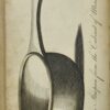 Culina Famulatrix Medicinae or Receipts in Modern Cookery with a Medical Commentary - Image 3