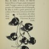 Early English Recipes - Image 5
