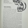 A Gourmets Book of Beasts - Image 6