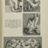 Complete Home Cookery - Image 5