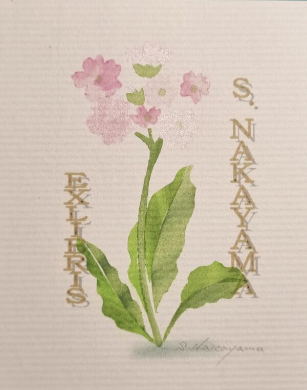 Ex Libris S Nakayama -  Sml pink flowers