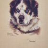 Menu - The Alaska Line - Mageik (1948) #A