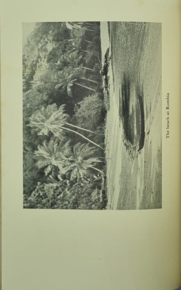 Malayan Landscape - Image 9