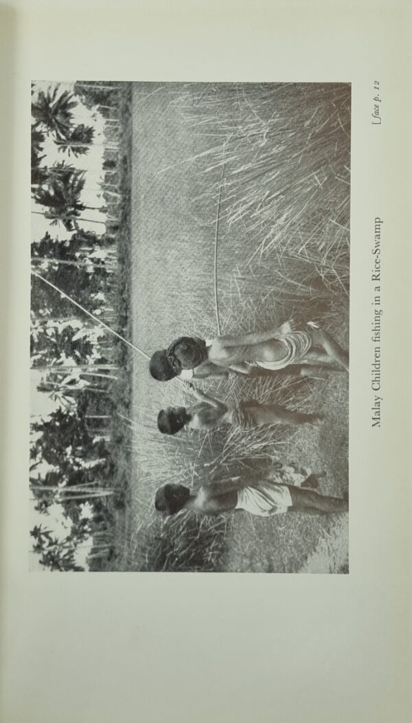 The Malays: A Cultural History - Image 5