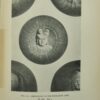 The Story of the Nations: Buddhist India - Image 6
