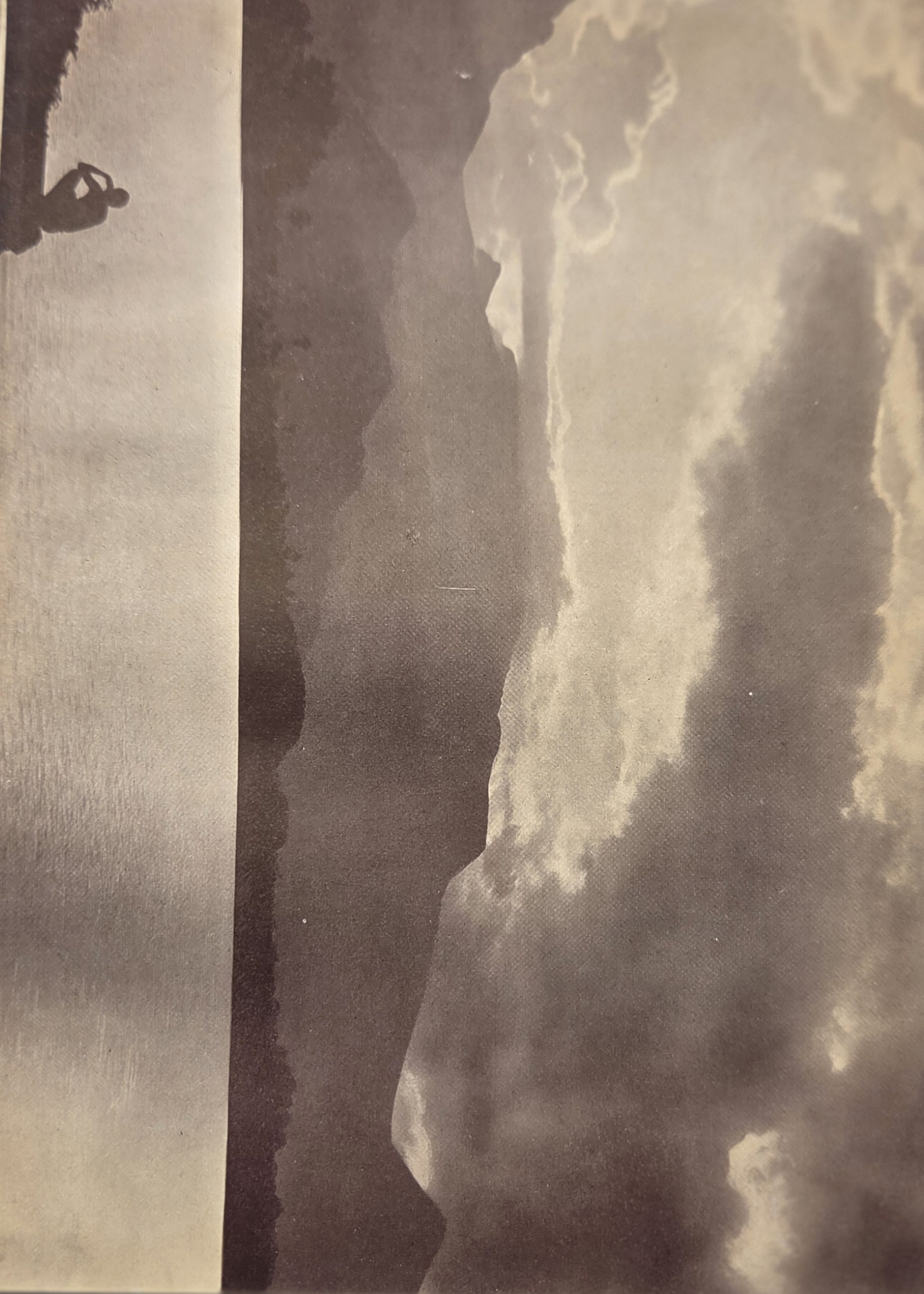 Lotus buds - Image 3