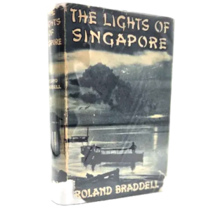 The Lights of Singapore